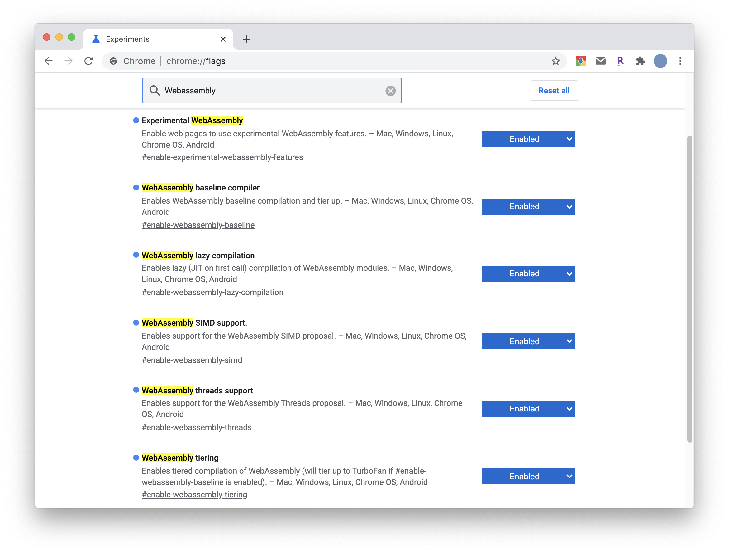 webassemblysetting.png